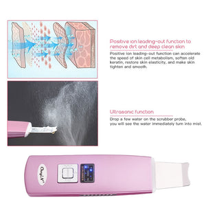 Délier Ultrasonic Skin Scrubber